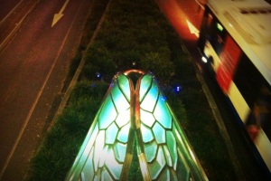 cicada at the transit centre photo